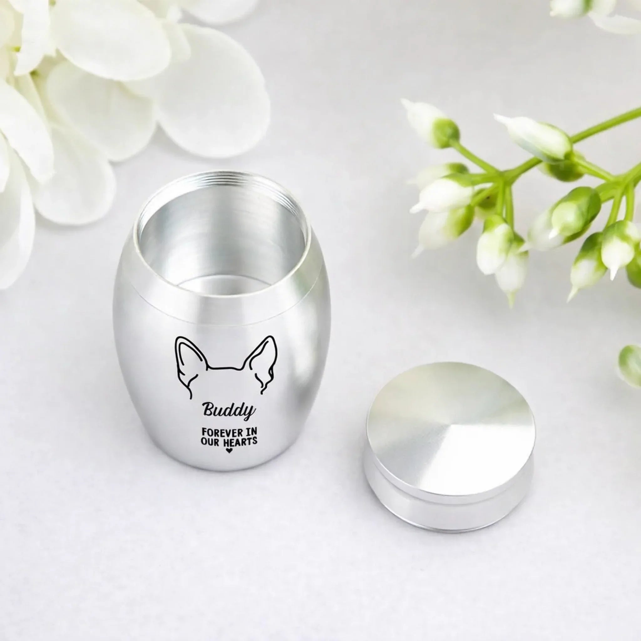 ChatGPT Image 2026Äê3ÔÂ9ÈÕ 14_12_27