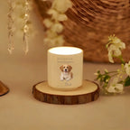 ¼Òͥ·ÕΧ²úƷÆÀÂÛÉú³É - 2026-03-12T144310.055