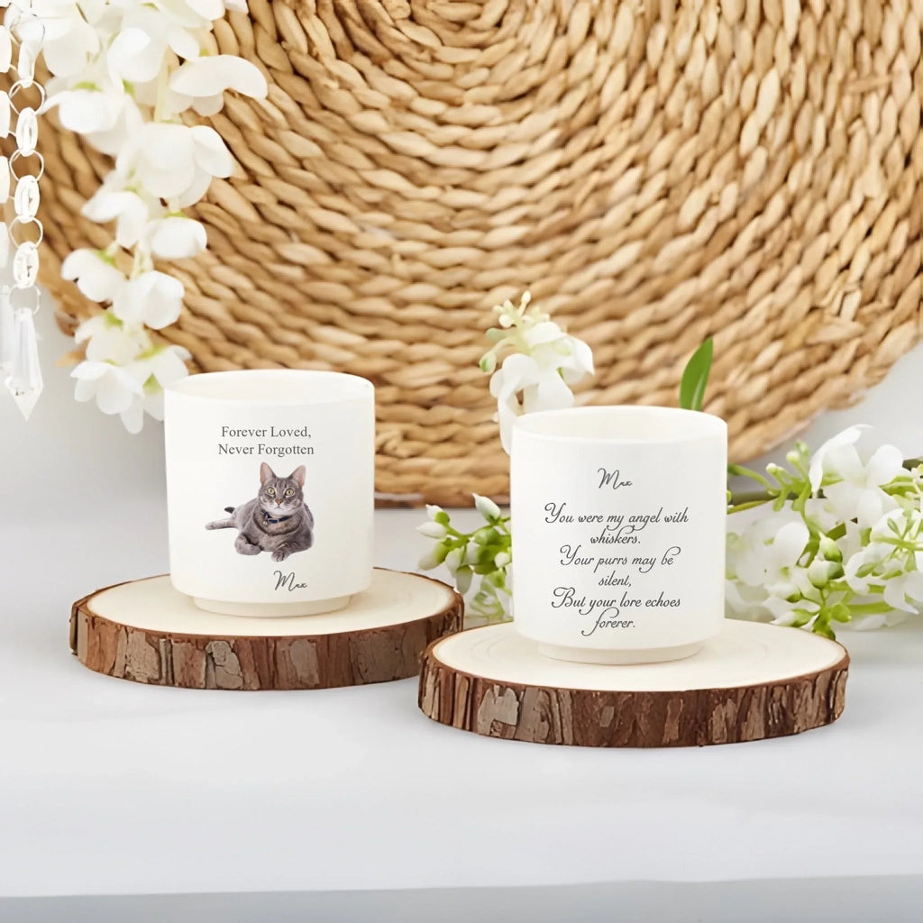 133f3c217b325a1cfc546260768d1cdd