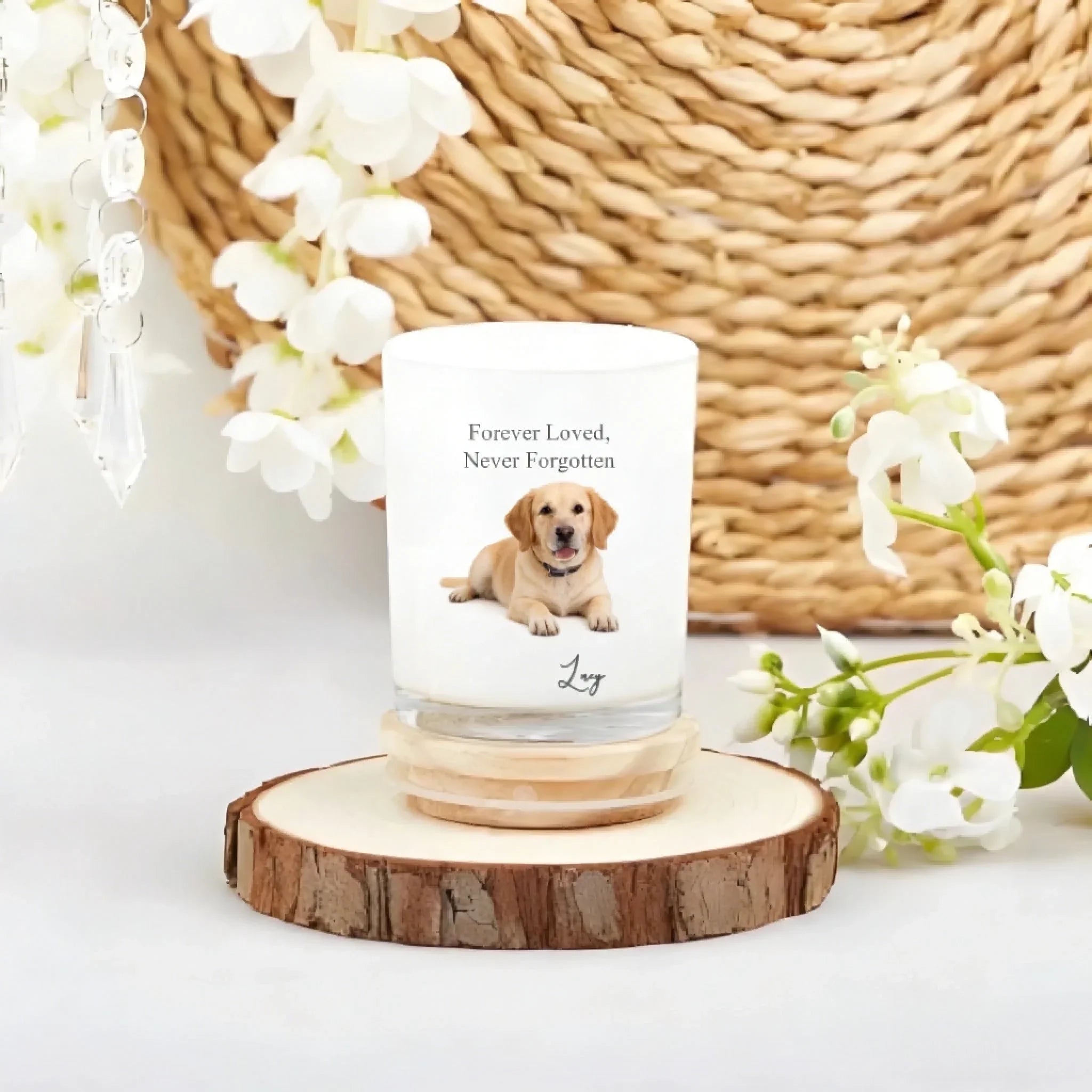 ¼Òͥ·ÕΧ²úƷÆÀÂÛÉú³É - 2026-03-12T144120.734