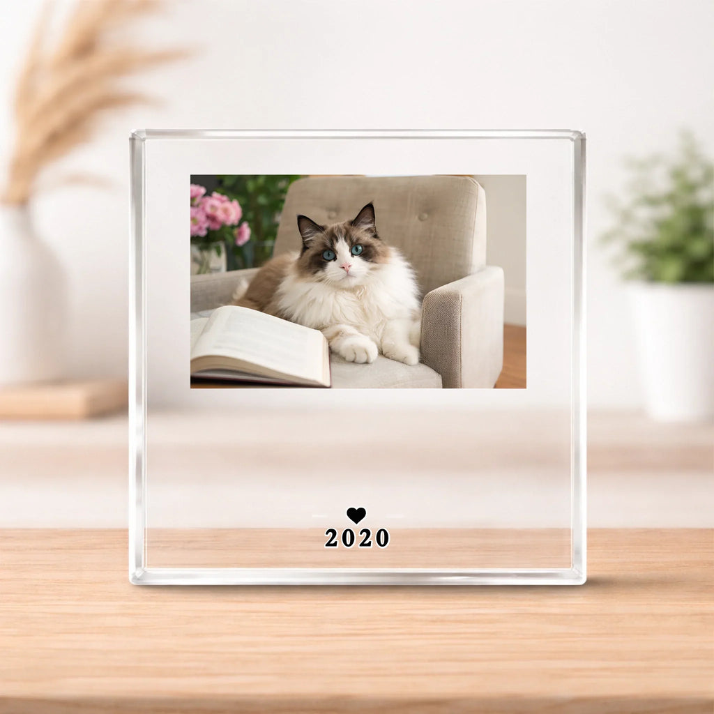 ChatGPT Image 2026Äê2ÔÂ27ÈÕ 16_36_02