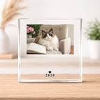 ChatGPT Image 2026Äê2ÔÂ27ÈÕ 16_36_02