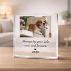 ¼Òͥ·ÕΧ²úƷÆÀÂÛÉú³É - 2026-03-12T144835.461