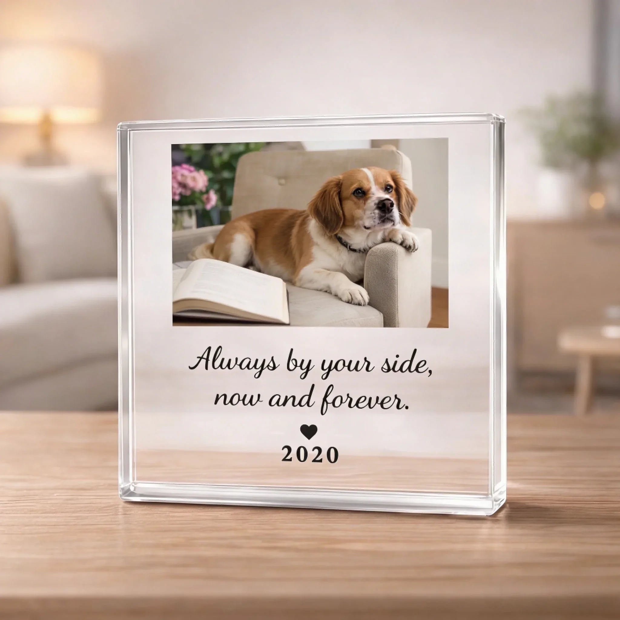 ¼Òͥ·ÕΧ²úƷÆÀÂÛÉú³É - 2026-03-12T144835.461