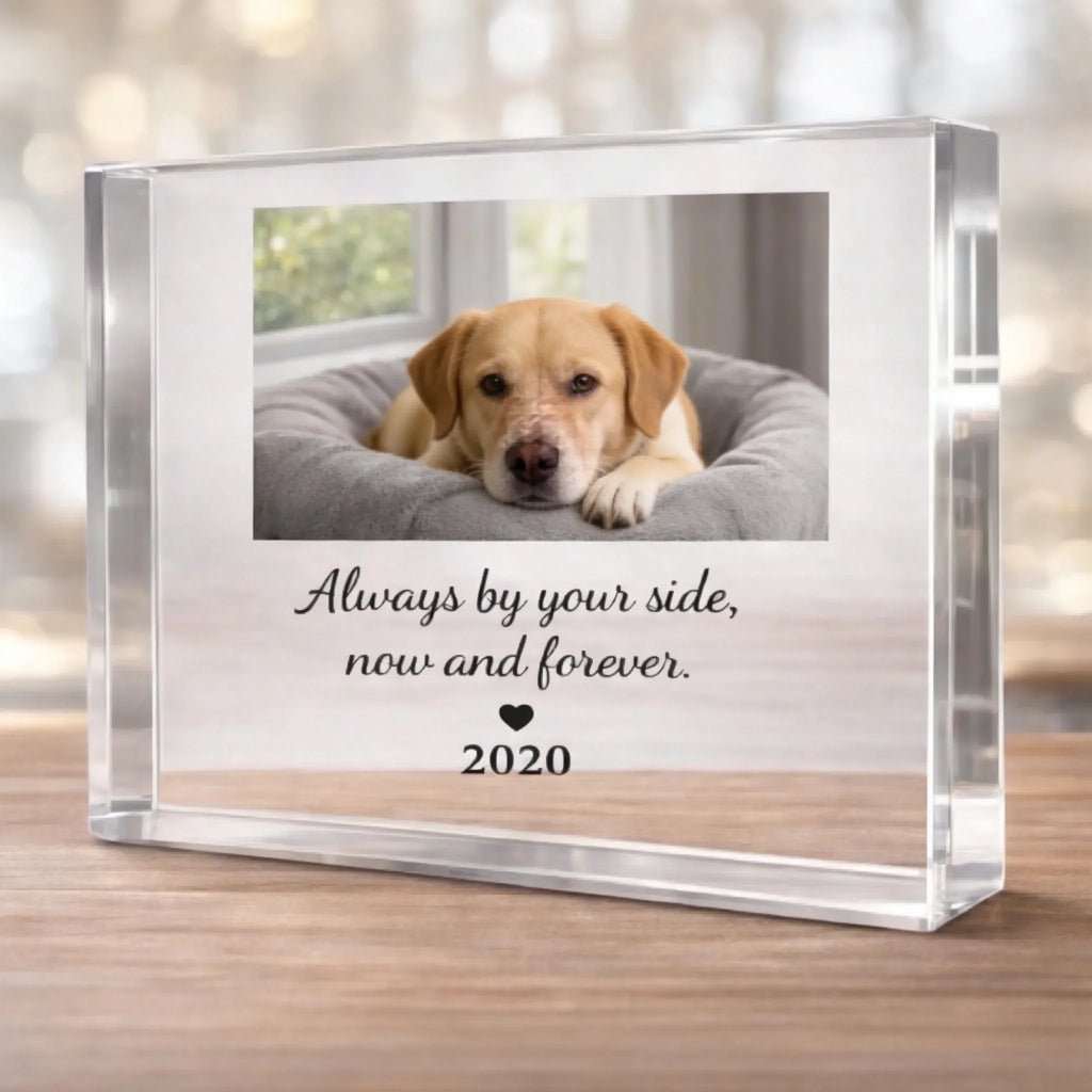 ¼Òͥ·ÕΧ²úƷÆÀÂÛÉú³É - 2026-03-12T144850.434