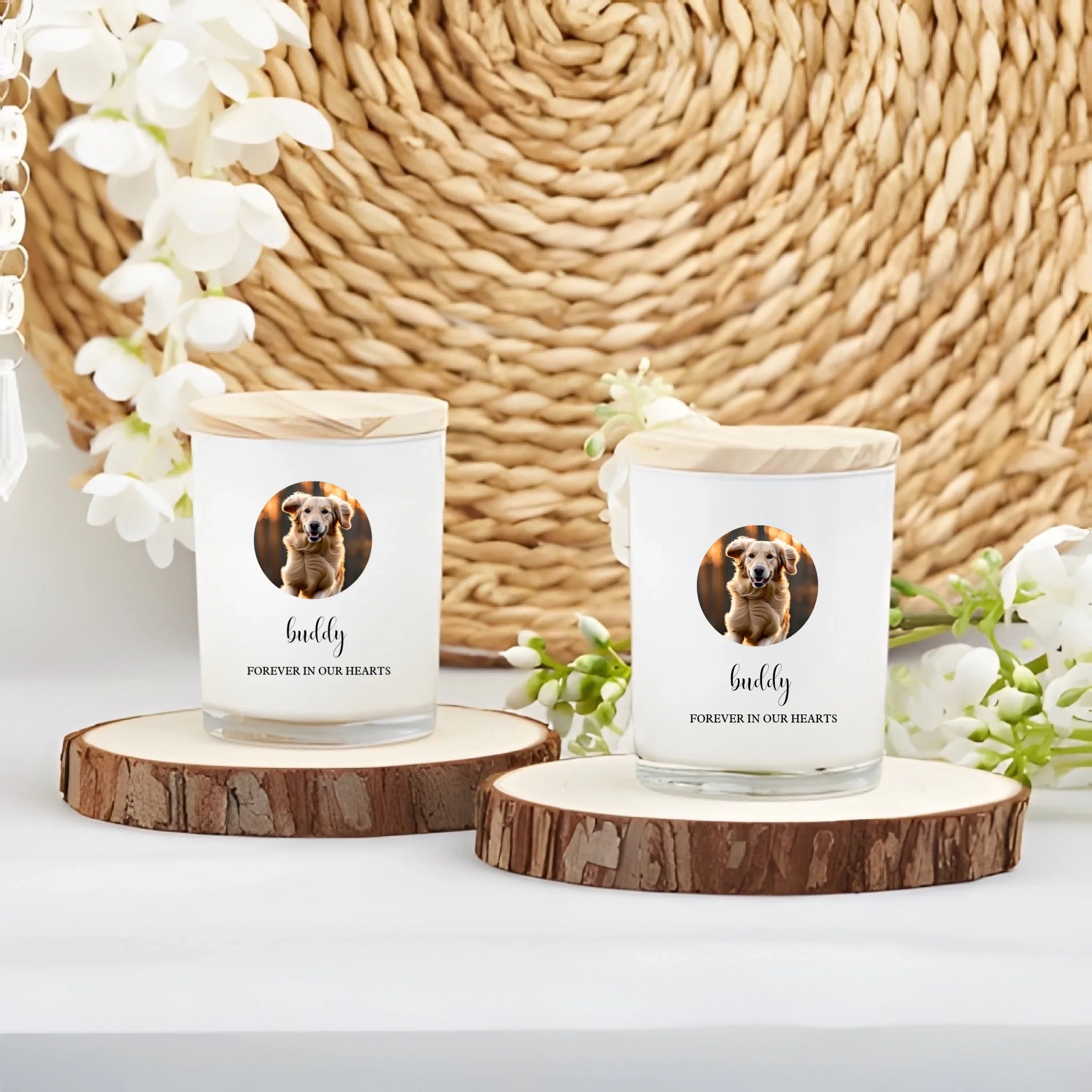 edbfc0a4956c40a2a35e96a9233d054c