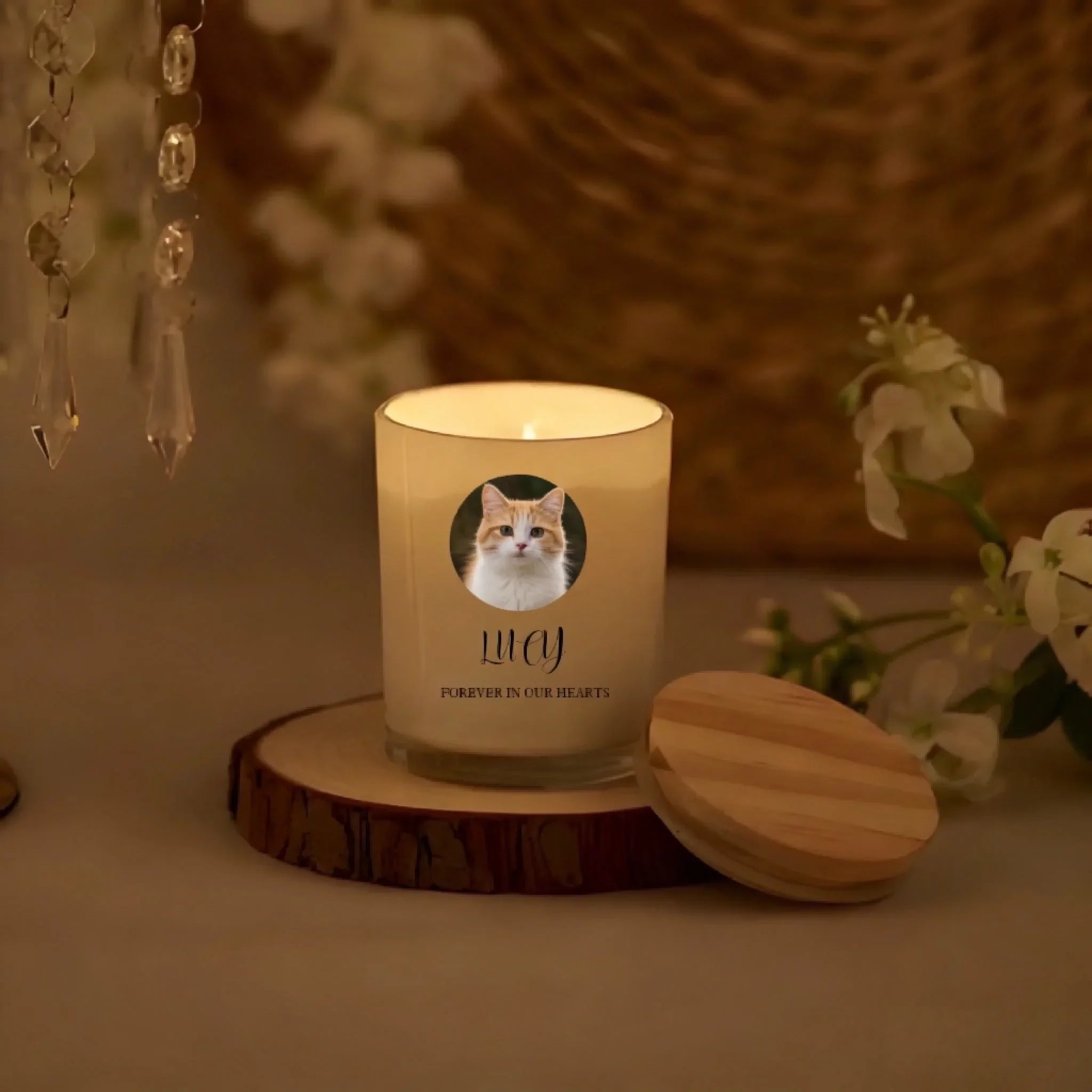 ¼Òͥ·ÕΧ²úƷÆÀÂÛÉú³É - 2026-03-12T175429.232