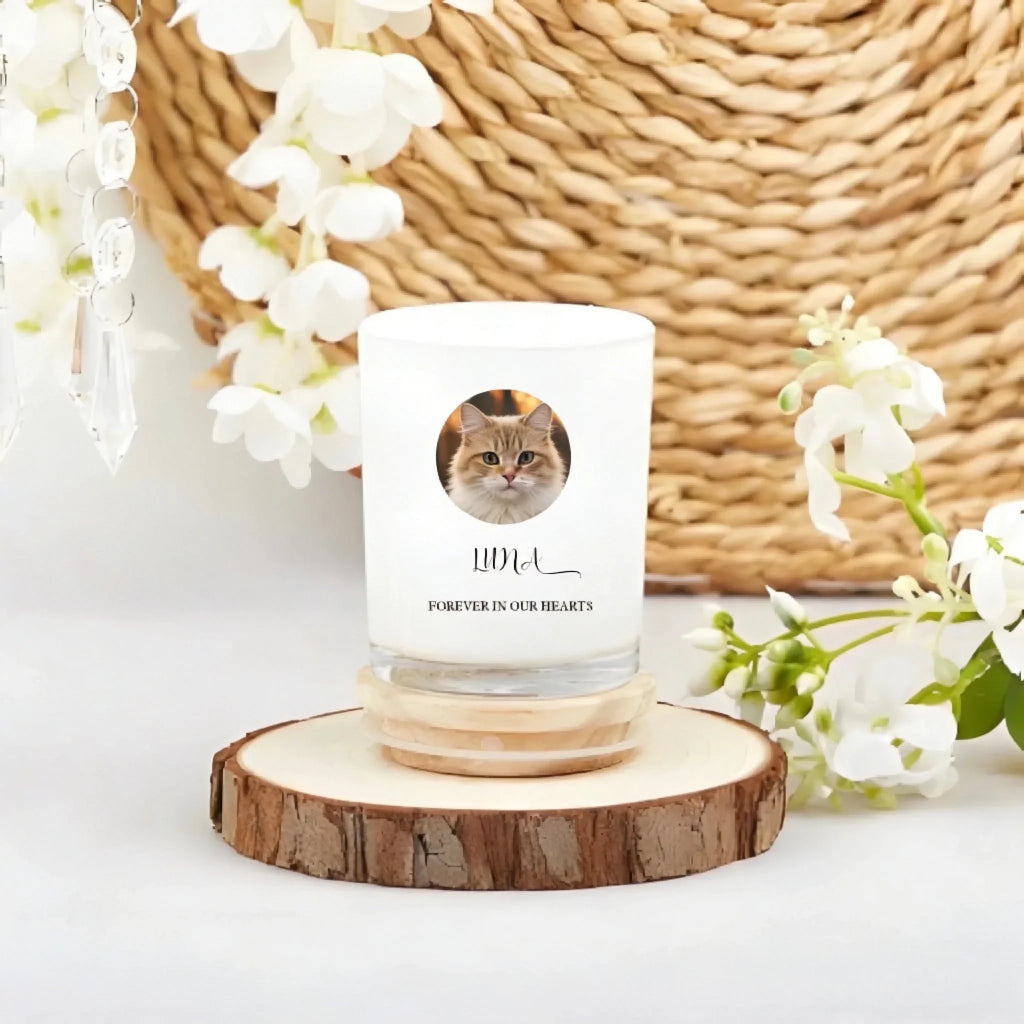 ¼Òͥ·ÕΧ²úƷÆÀÂÛÉú³É - 2026-03-12T175442.097